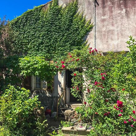 Le Mas Du Figuier, Maison De Vacances Le Bousquet-d'Orb Экстерьер фото